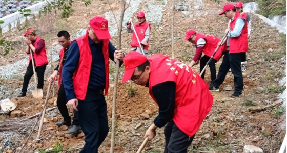 村企共建，共植先锋林